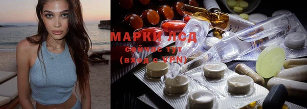ПСИЛОЦИБИНОВЫЕ ГРИБЫ Белоозёрский