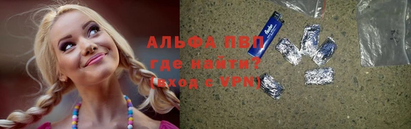стафф Белокуриха