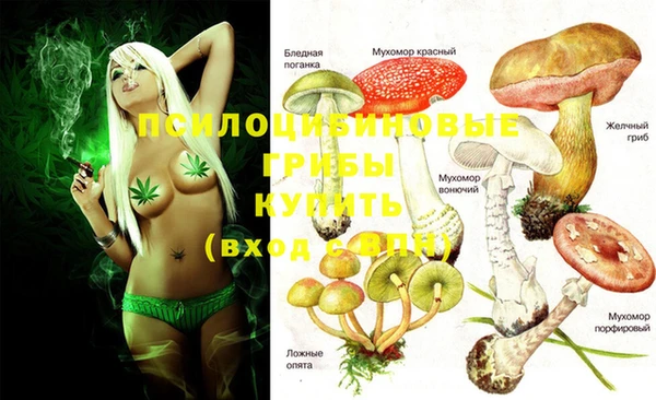 ПСИЛОЦИБИНОВЫЕ ГРИБЫ Белоозёрский