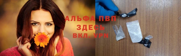 стафф Белокуриха