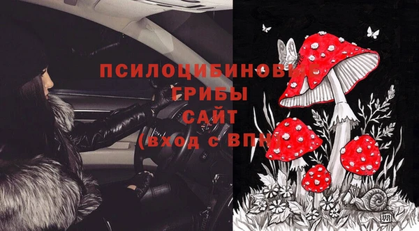 стафф Белокуриха